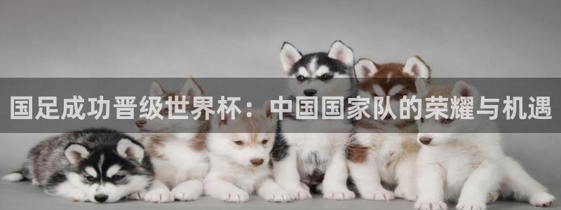 世界杯决赛圈球队:国足成功晋级世界杯:中国国家队的荣耀与机遇