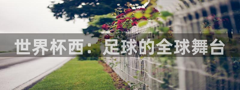 世界杯直播网站：世界杯西：足球的全球舞台