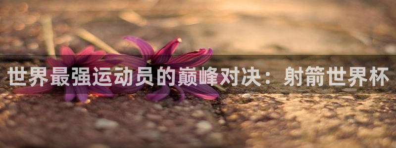2026世界杯亚洲预选赛赛程：世界最强运动员的巅峰对决：射箭世界杯