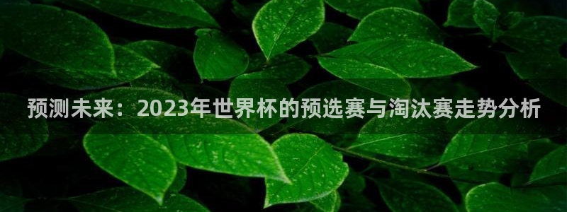 世界杯预选赛2026：预测未来：2023年世界杯的预选赛与淘汰赛走势分析