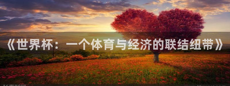 世界杯：《世界杯：一个体育与经济的联结纽带》