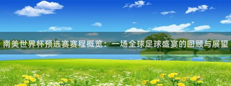 世界杯比赛赛程：南美世界杯预选赛赛程概览：一场全球足球盛宴的回顾与展望
