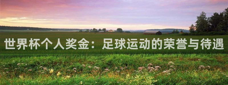 欧洲区世界杯预选赛：世界杯个人奖金：足球运动的荣誉与待遇