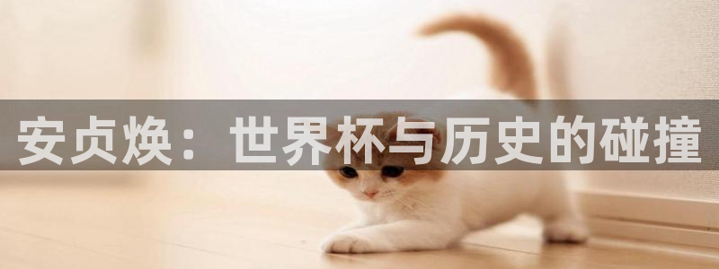 2026年足球世界杯赛程时间表：安贞焕：世界杯与历史的碰撞